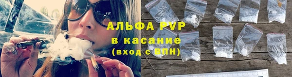стафф Алексин