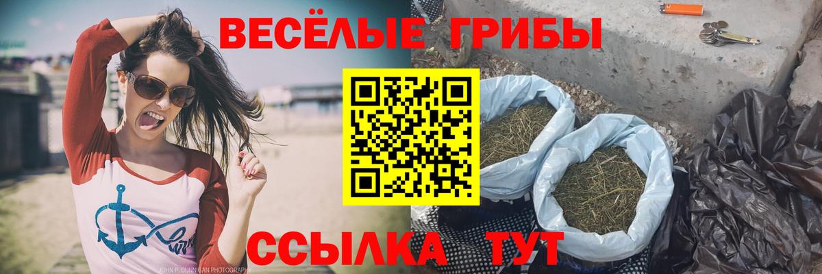 Псилоцибиновые грибы мухоморы  Вход с VPN  купить   Алушта 