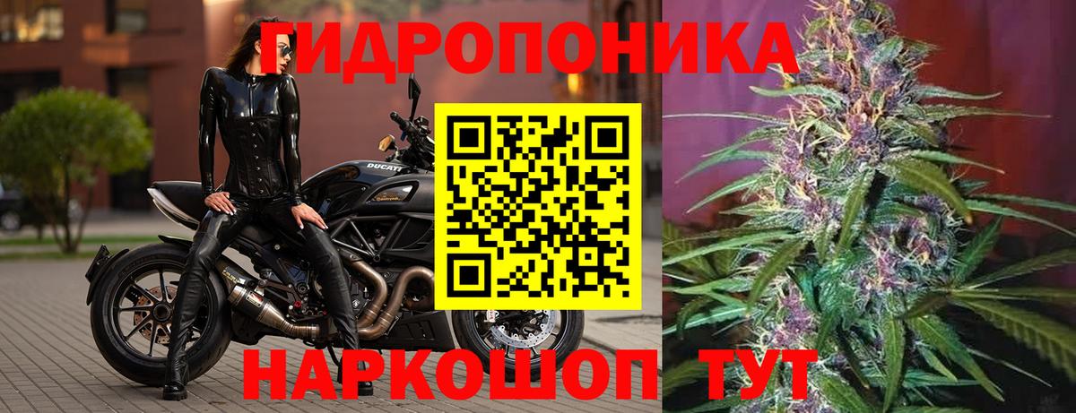 Алушта  Шишки марихуана планчик  Вход с VPN  Каннабис Bruce Banner  Бошки марихуана White Widow 
